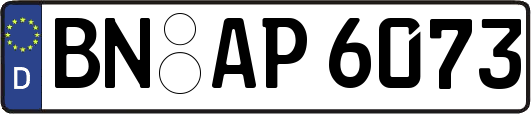 BN-AP6073