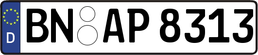 BN-AP8313