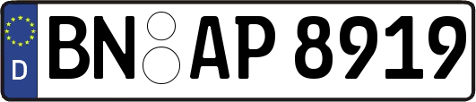 BN-AP8919