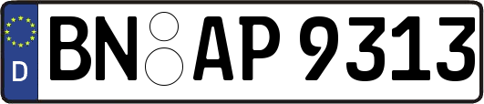 BN-AP9313