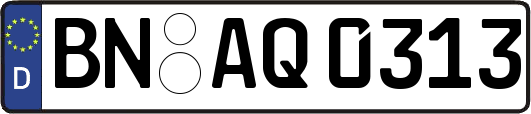 BN-AQ0313