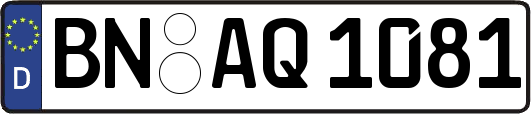 BN-AQ1081