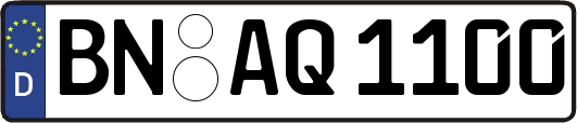 BN-AQ1100