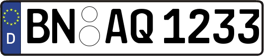 BN-AQ1233