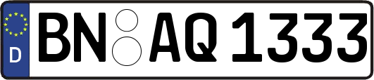 BN-AQ1333