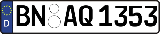 BN-AQ1353