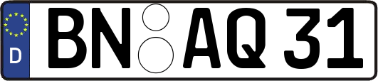 BN-AQ31