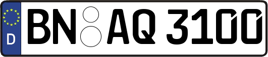 BN-AQ3100