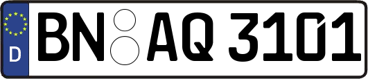 BN-AQ3101