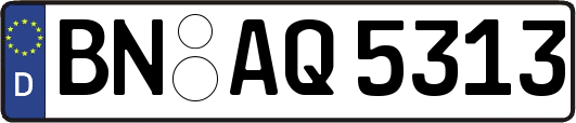 BN-AQ5313