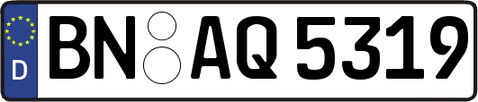 BN-AQ5319