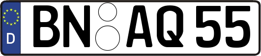 BN-AQ55