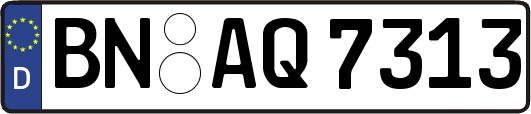 BN-AQ7313
