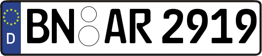BN-AR2919