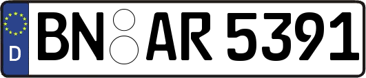 BN-AR5391