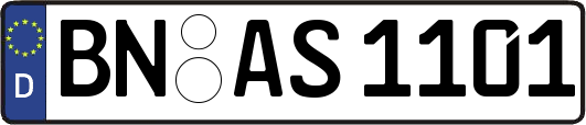 BN-AS1101