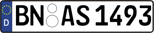 BN-AS1493
