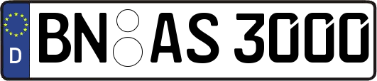 BN-AS3000