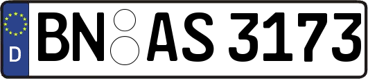 BN-AS3173