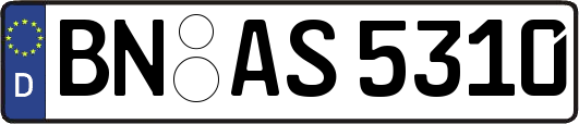 BN-AS5310