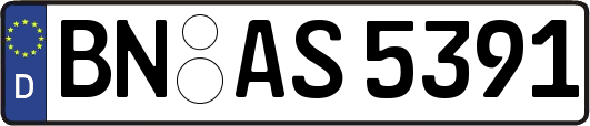 BN-AS5391