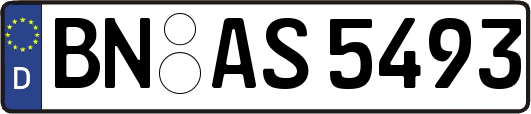 BN-AS5493