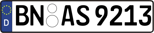 BN-AS9213