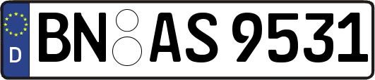 BN-AS9531