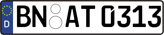 BN-AT0313