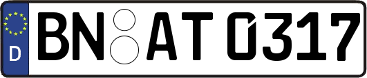BN-AT0317