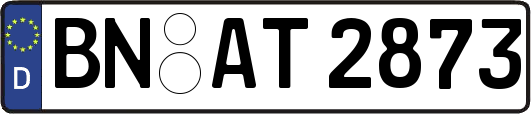 BN-AT2873
