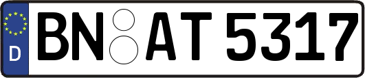 BN-AT5317