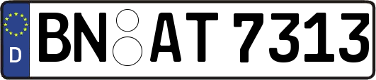 BN-AT7313
