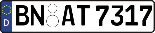 BN-AT7317