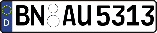 BN-AU5313