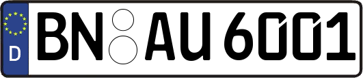BN-AU6001