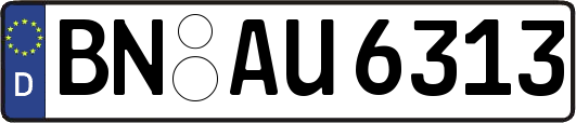 BN-AU6313
