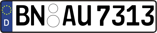 BN-AU7313
