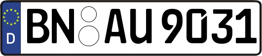 BN-AU9031