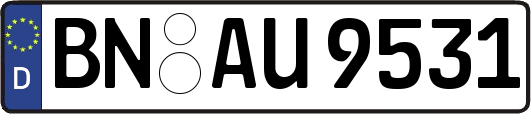 BN-AU9531