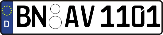 BN-AV1101