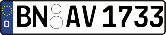 BN-AV1733