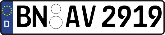 BN-AV2919