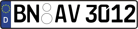 BN-AV3012