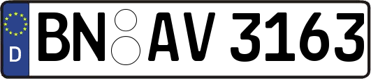 BN-AV3163