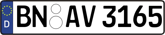 BN-AV3165