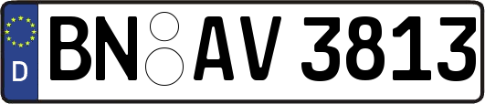 BN-AV3813