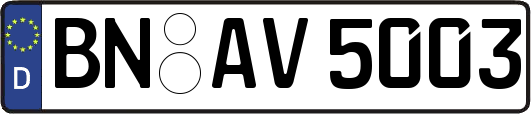 BN-AV5003