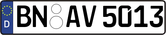 BN-AV5013