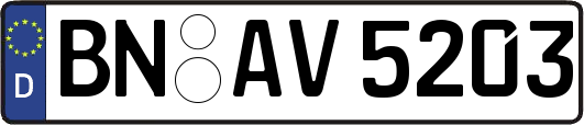 BN-AV5203
